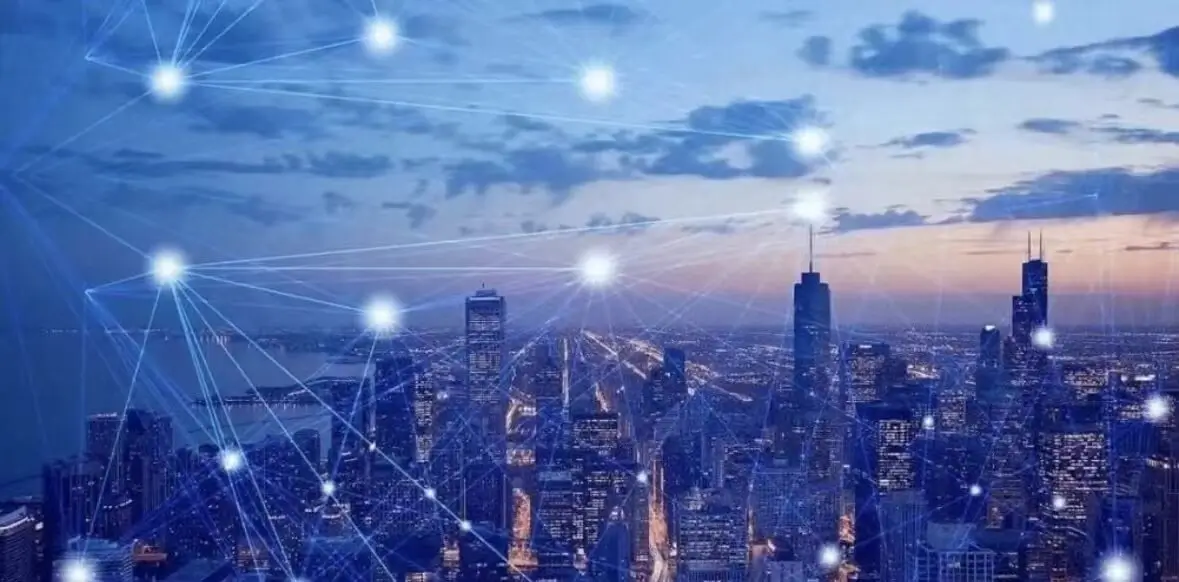 简单美食番茄做法午餐