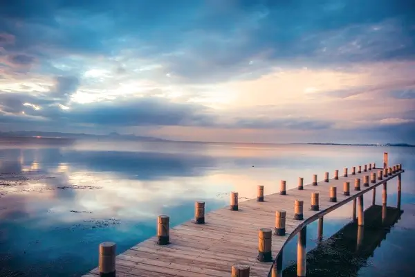 宁夏美食甜酒曲做法