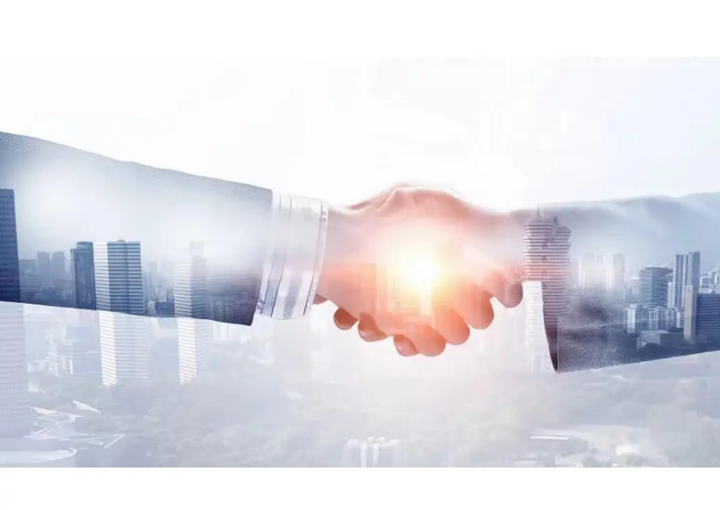 红苕创意美食做法视频